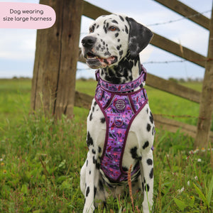 Tough Trails™ Harness - Roaming Wild