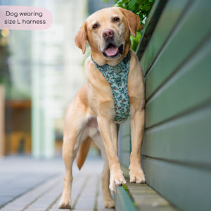 Disney© Tough Trails™ Harness - Rex