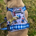 Paddington™ AdjustFit Lead - London