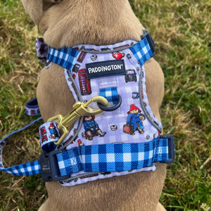 Paddington™ AdjustFit Lead - London