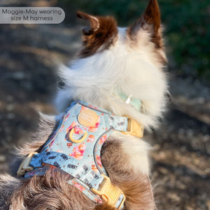 Disney© Tough Trails™ Harness - Winnie The Pooh