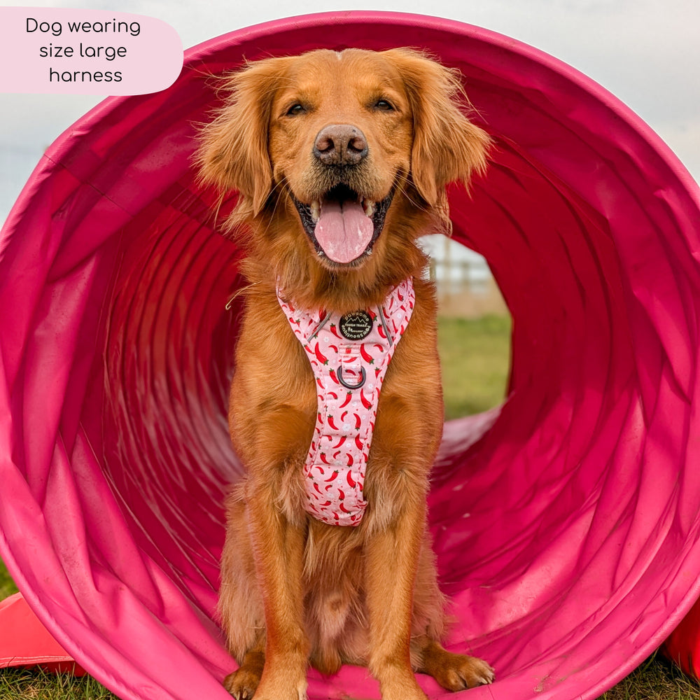 Tough Trails™ Harness - Chilli Dog