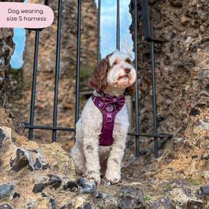 Tough Trails™ Harness - Walkies Ready® Plum