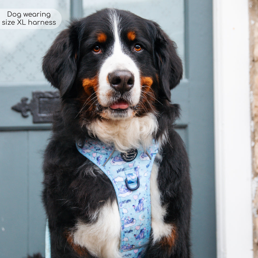 Disney© Tough Trails™ Harness - Eeyore