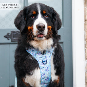 Disney© Tough Trails™ Harness - Eeyore