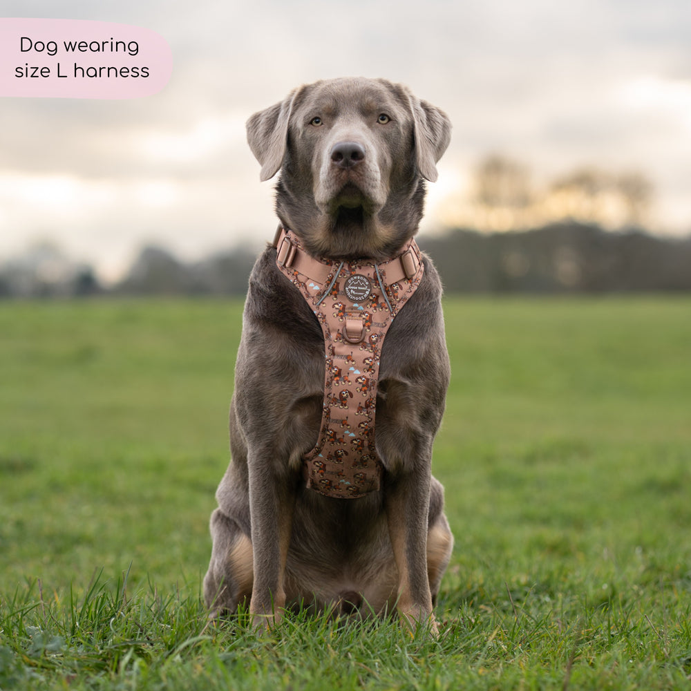 Disney© Tough Trails™ Harness - Slinky