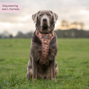 Disney© Tough Trails™ Harness - Slinky