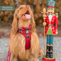Tough Trails™ Harness - Walkies Ready® Snowy Mountains