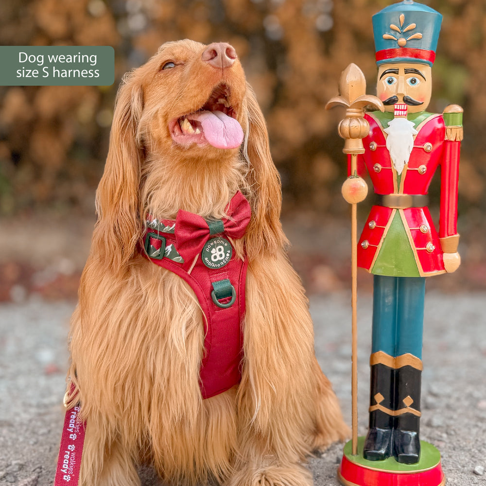 Tough Trails™ Harness - Walkies Ready® Snowy Mountains