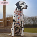 Paddington™ Tough Trails™ Harness - Peckish Paddington