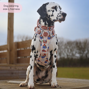Paddington™ Tough Trails™ Harness - Peckish Paddington