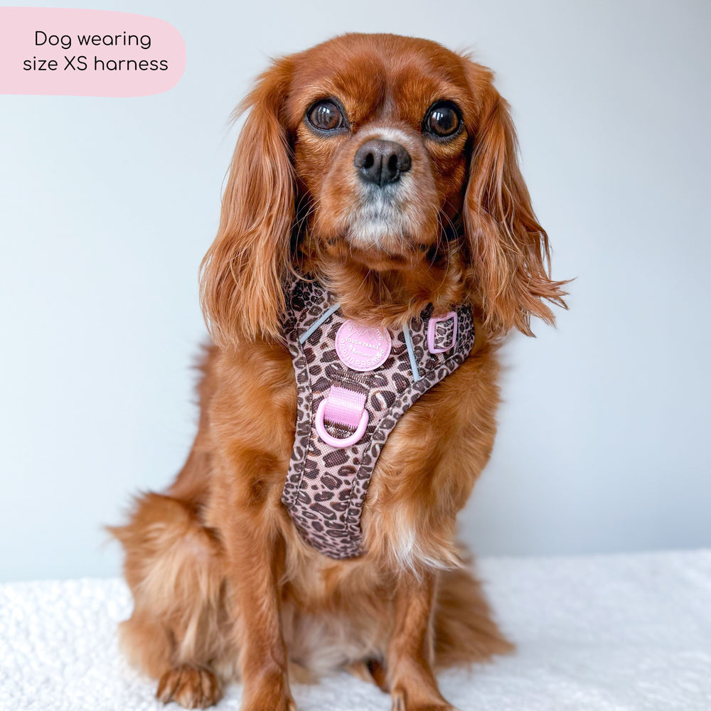 Tough Trails™ Harness -  Leopard Print