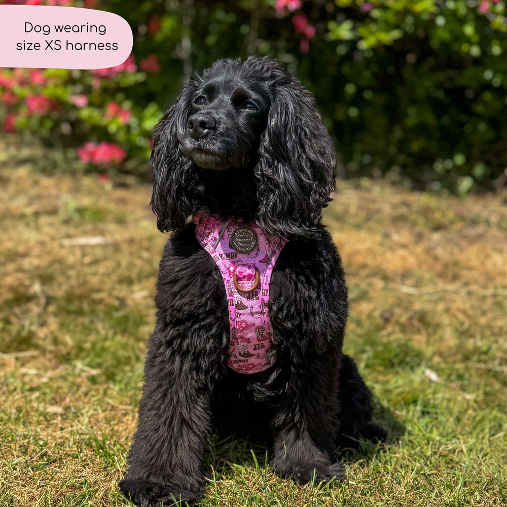 Tough Trails™ Harness -  Cowgirl