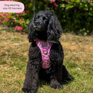 Tough Trails™ Harness -  Cowgirl
