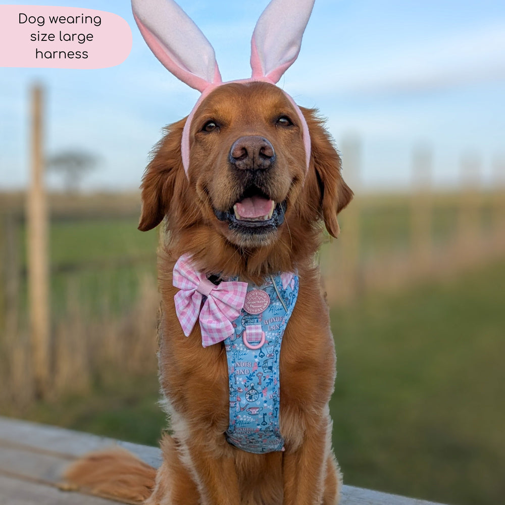 Disney© Tough Trails™ Harness - Mad Hatters Tea Party