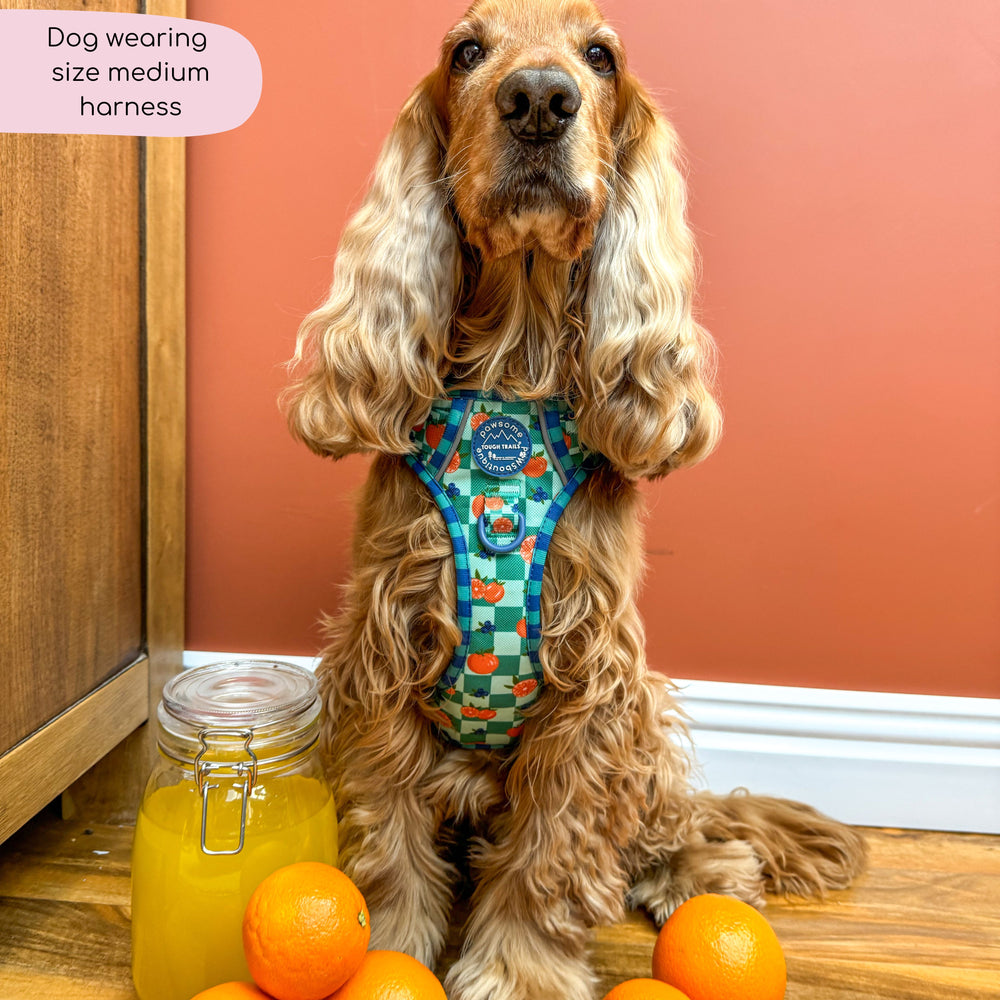 Tough Trails™ Harness -  Fruit Punch