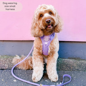 Tough Trails™ Harness - Walkies Ready® Lavender Lilac