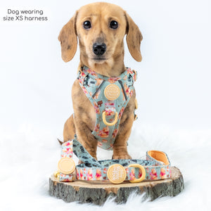 Disney© Tough Trails™ Harness - Winnie The Pooh