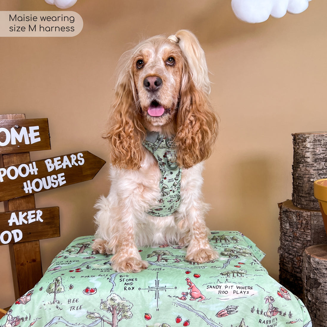 Disney© Dog Blanket - 100 Aker Wood