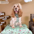 Disney© Dog Blanket - 100 Aker Wood