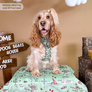 Disney© Dog Blanket - 100 Aker Wood