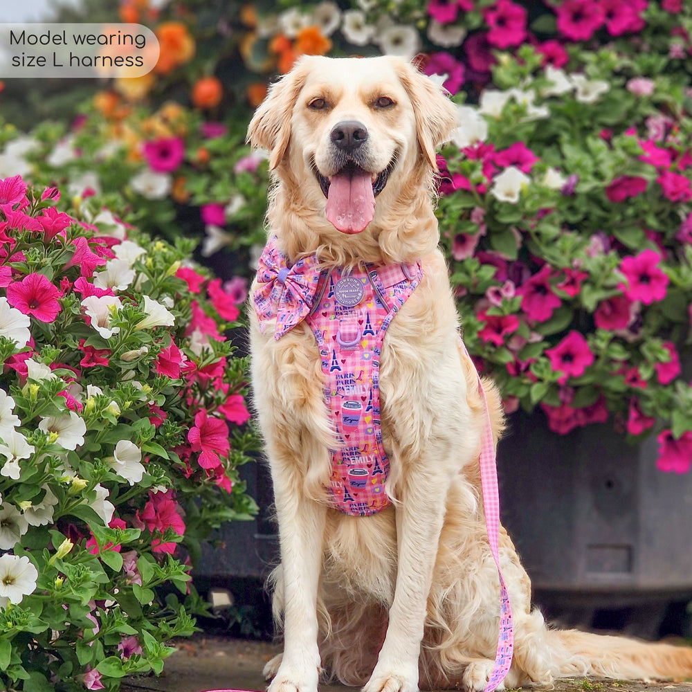 Tough Trails™ Harness - Emily In Paris