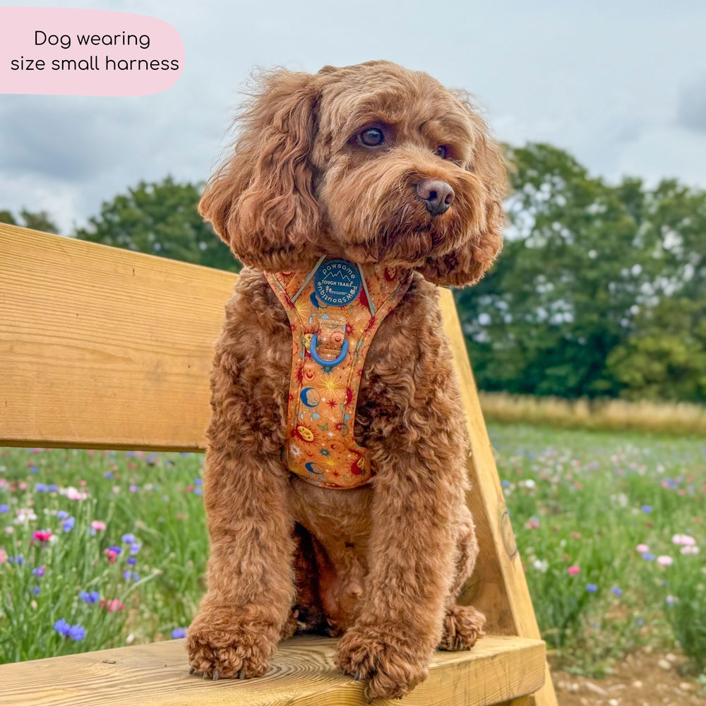 Tough Trails™ Harness - Celestial Spirit