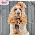 Disney© Tough Trails™ Harness - Woody