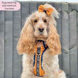 Disney© Tough Trails™ Harness - Woody