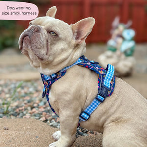 Disney© Tough Trails™ Harness - Alice In Wonderland