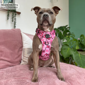 Tough Trails™ Harness - Mean Girls