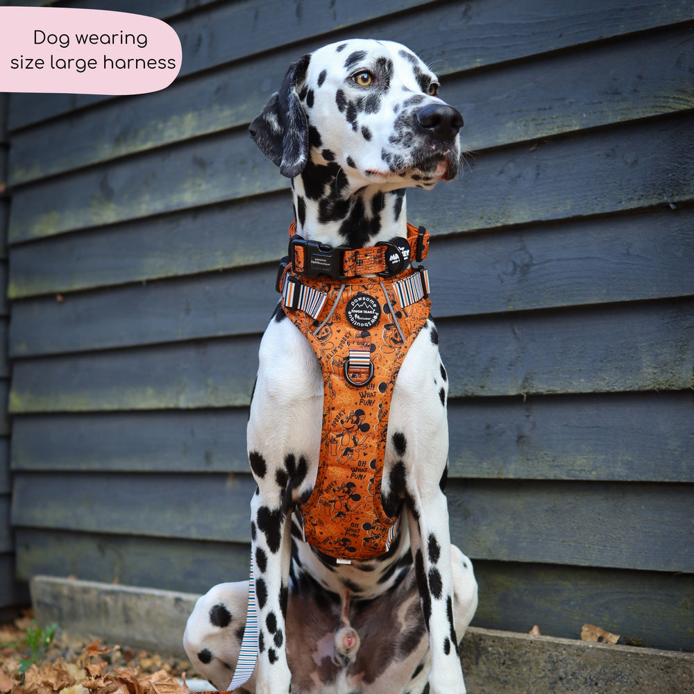 Disney© Tough Trails™ Harness - Halloween