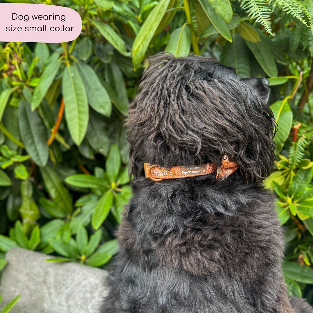 Collar - Cinnamon Spice