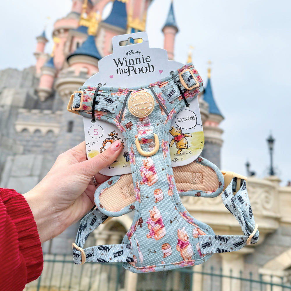 Disney© Tough Trails™ Harness - Winnie The Pooh
