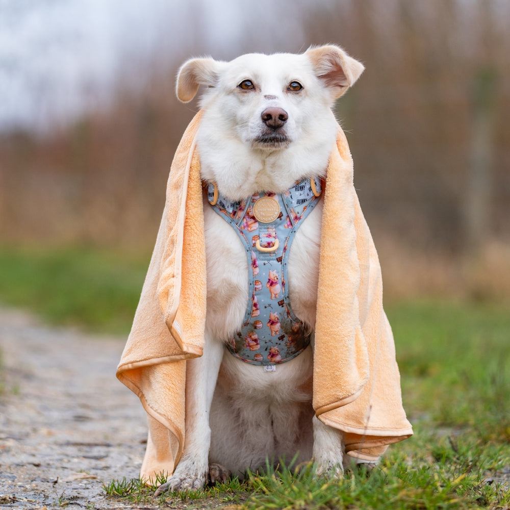 Disney© Microfibre Towel - Winnie The Pooh