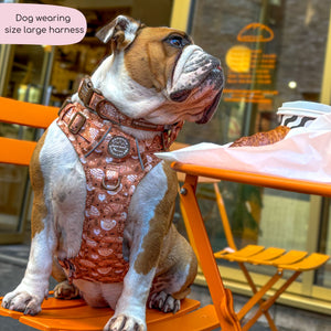 Tough Trails™ Harness - Cinnamon Spice