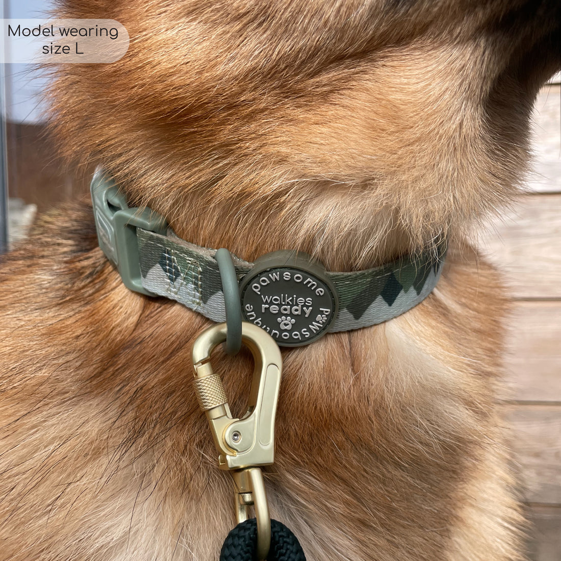 Collar - Walkies Ready® Forest Green