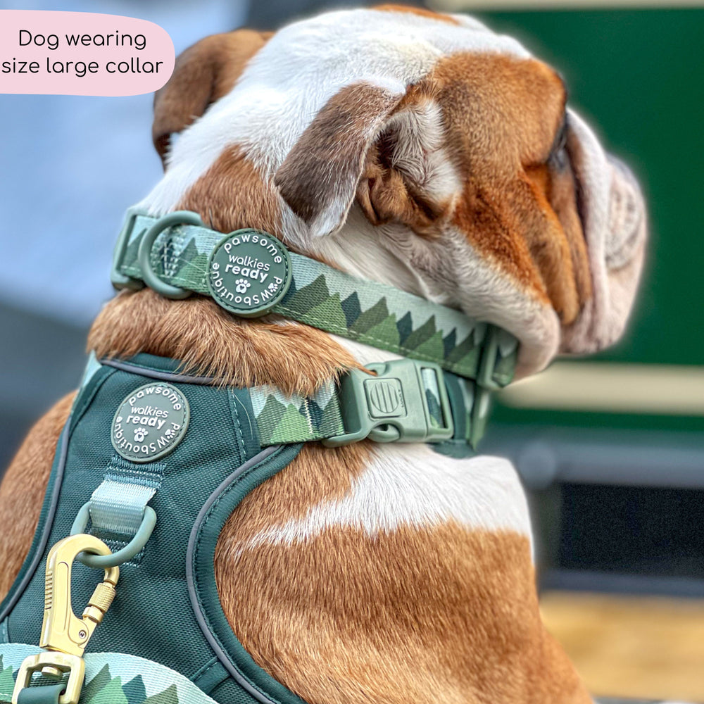 Collar - Walkies Ready® Forest Green