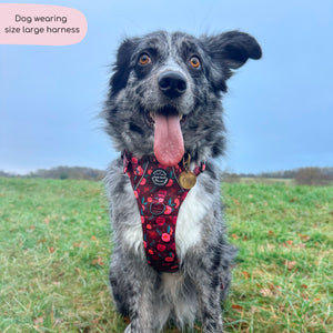 Tough Trails™ Harness - Mable's Meadow