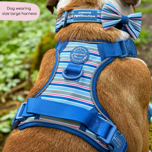 Tough Trails™ Harness -  Sailor Stripes