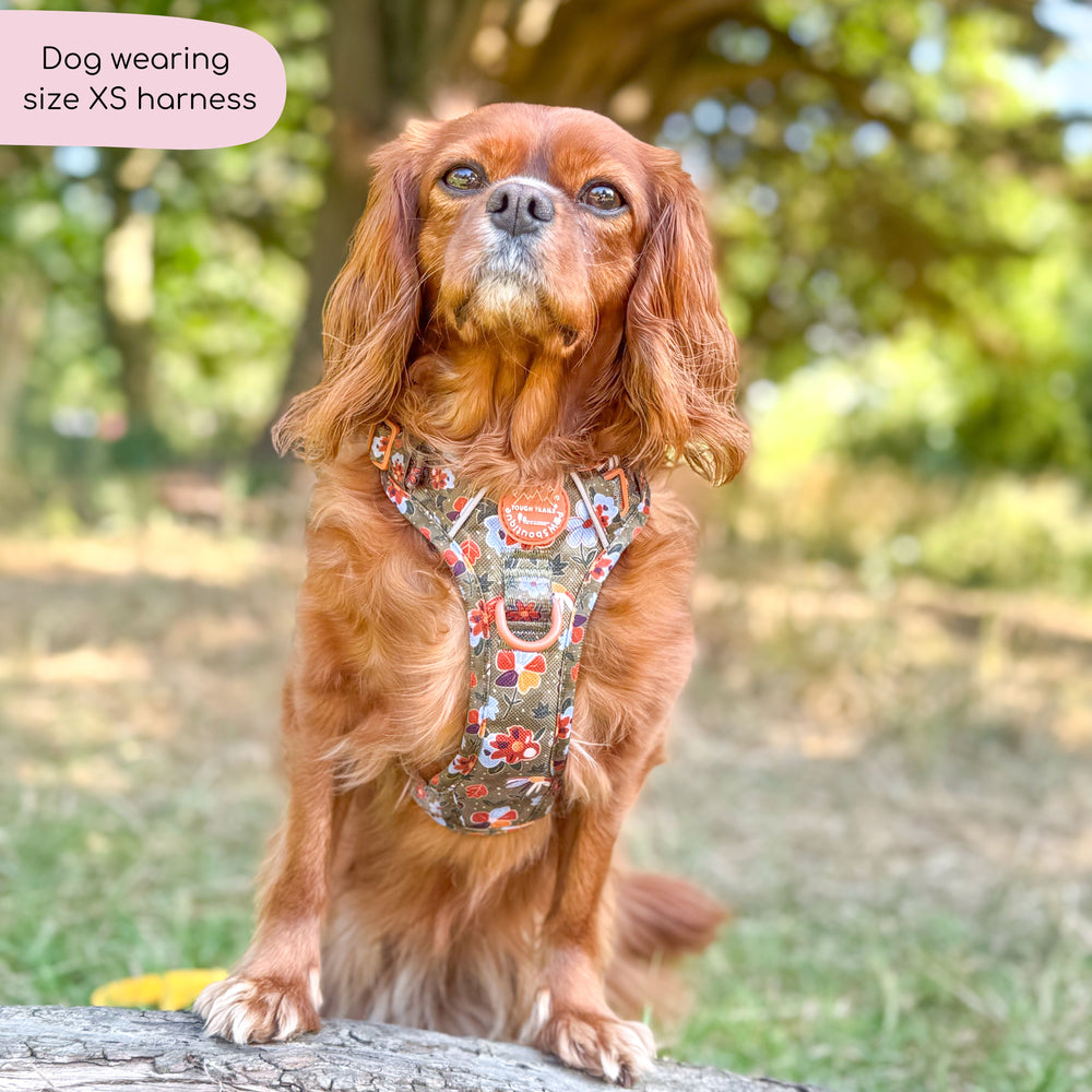 Tough Trails™ Harness - Rust & Bloom