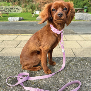 Pawsome Pup Collar and Lead Set - Pink
