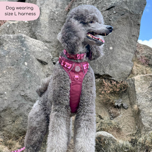 Tough Trails™ Harness - Walkies Ready® Mulberry