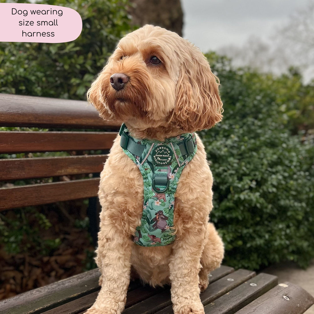 Disney© Tough Trails™ Harness - Jungle Book