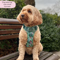 Disney© Tough Trails™ Harness - Jungle Book