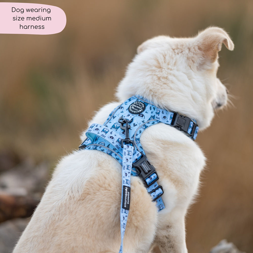 Tough Trails™ Harness - Reuben's Roadtrip