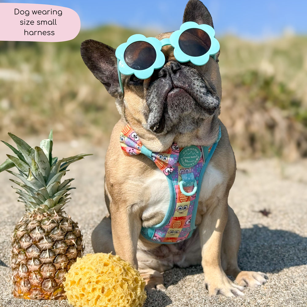 Tough Trails™ Harness - Spongebob