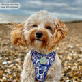 Disney© Tough Trails™ Harness -  Winnie + Friends