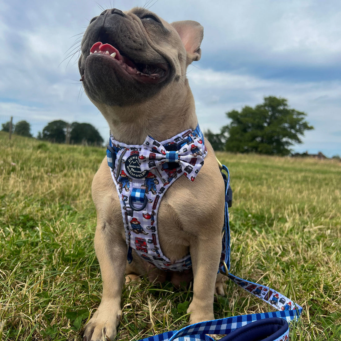 Paddington™ Bow Tie - London