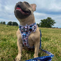 Paddington™ Bow Tie - London